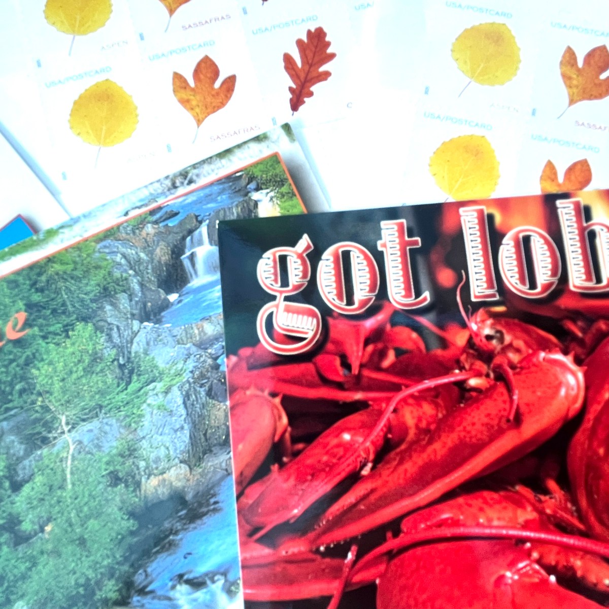 Postcards for Democracy: Voter Letter-Writing Party, August 21,&nbsp;2025